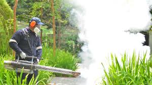 Best Fumigation Services  in Tignall, GA